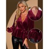 INSPIRE CHIC Women's Velvet Elegant Tie Waist Long Sleeve V Neck Wrap Peplum Blouse - 2 of 4