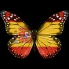 Junior's Design By Humans Butterfly Flag Of Spain By GiftsIdeas T-Shirt - 2 of 2