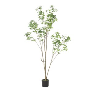 TopComfy Artificial Trees 210cm Artificial Pieris Tree Large Fake Pieris Tree Lifelike Branches Faux Pieris Tree for Indoor, Green, 39.4"*39.4"*82.7" - 1 of 4