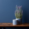 Ornamental Blue and White Ceramic Pot (Set of 2) - 2 of 3