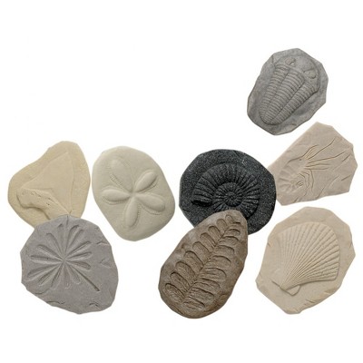 Yellow Door Play and Explore Fossils  - Set of 8