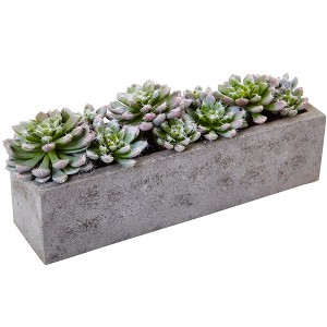 Nearly Natural Succulent Garden with Textured Concrete Planter - 1 of 4