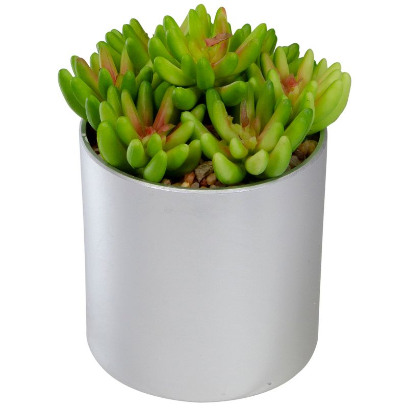 Northlight 4.75" Potted Red and Green Artificial Sedum Succulent, 3 of 5
