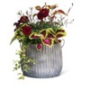 Gardener's Supply Company Galvanized Steel Ribbed Barrel Planter | 12" Diameter Indoor Outdoor Rust-Proof & Watertight Container for Plants & Flowers - 3 of 3