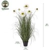 Dr.Planzen Artificial Onion Grass with White Daisy in Pot - 2ft /3ft Faux Potted Plant - Maintenance-Free Home Decor, Pet & Allergy Safe - 2 of 4