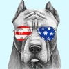 Boy's Design By Humans American Pitbull With Sunglasses By T-Shirt - 2 of 2