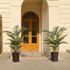 DR.Planzen 72" Artificial Palm Tree - 6FT UV Resistant Fake Plant with14 Silk Leaves & 15.7" Planter for Indoor House Plants, Tall Faux Trees 1 Pack - 3 of 4
