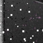 baltimore orioles 1955