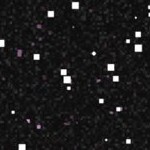 baltimore orioles 1955