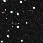 baltimore orioles 1955