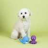 PetShop by Fringe Studio Happy to Sea You Dog Interactive Toy Set - 2pk - 3 of 3