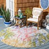 Summer SMR487 Power Loomed Indoor and Outdoor Area Rug  - Safavieh - 2 of 4