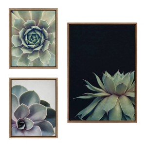 (Set of 3) 23" x 33" Sylvie Succulent Framed Canvas Set Gold - Kate & Laurel All Things Decor: Tranquil Botanical Art - 1 of 4