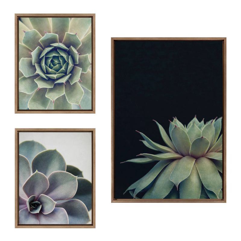 (Set of 3) 23&#34; x 33&#34; Sylvie Succulent Framed Canvas Set Gold - Kate &#38; Laurel All Things Decor, 1 of 8