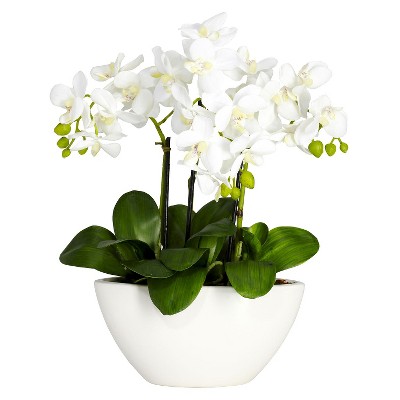 Nearly Natural Phalaenopsis Silk Flower Arrangement