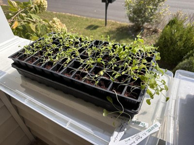 Herb & Flower Drying Rack Kit - Burpee