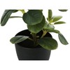 NicBex Artificial Plant 2PC, Fake Plants in Black Pots, Tabletop Faux Plants Indoor for Living Room/Office/Windowsill Decor - 3 of 4