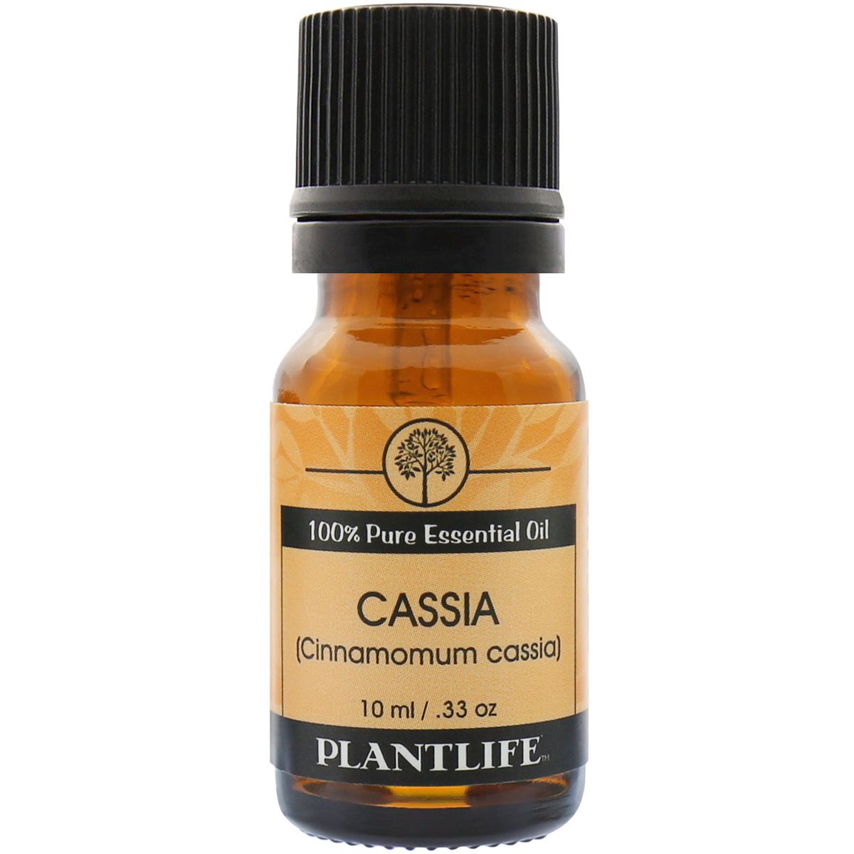 Plantlife Cassia Essential Oil – 100% Pure & Therapeutic Grade – Natural, Undiluted & Steam-Distilled – No Additives or Fillers – Aromatherapy – 10ml