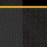 boston bruins
