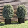 vidaXL Garden Planters 2 pcs Black 15.7"x15.7"x15.7" Solid Wood Pine - 2 of 4