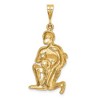 Black Bow Jewelry 14k Yellow Gold Large Aquarius the Water Bearer Zodiac Pendant - 3 of 4