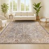 JONATHAN Y Alba Modern Faded Peshawar Area Rug - 4 of 4
