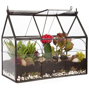 D'Eco Glass Greenhouse Plant Terrarium (10x4.5x9) - Indoor Tabletop Black Hinged Geometric Planter Holiday Decor - Christmas Gift for Plant Lovers - 1 of 1