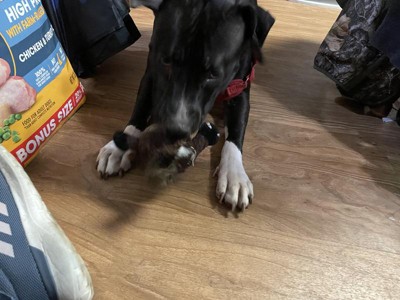 Guest review image 2 of 2, zoom in