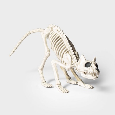 13" Cat Skeleton Halloween Decorative Prop - Hyde & EEK! Boutique™