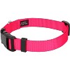 Country Brook Petz Deluxe Nylon Dog Collar and Leash - 2 of 4
