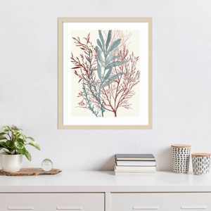 Amanti Art Seaweed Swirls II by Aimee Wilson Wood Framed Wall Art Print - 1 of 4