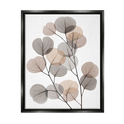 Stupell Industries Modern Eucalyptus Leaf Stems Translucent Brown Grey Leaves