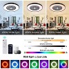 HUMHOLD 24 Inch Smart Modern Ceiling Fan with Lights and Remote/APP Control - 2 of 4