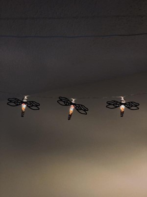 Dragonfly shop lights target