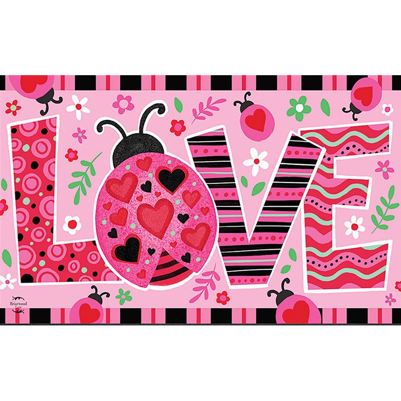 Ladybug Love Valentineu2019s Doormat 30" x 18" Indoor Outdoor Briarwood Lane, 1 of 5