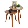 Oslo Java Nesting End Tables Java - Breighton Home - 3 of 4