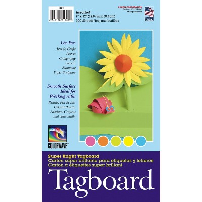 Pacon Light-Weight Tagboard, 9 x 12 Inches, Assorted Bright Colors, pk of 100