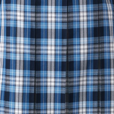 clear blue plaid