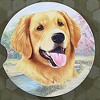 E & S Imports 2.5 Inch Golden Retriever Car Coaster Super Absorbent Coasters - 3 of 3