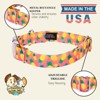 Country Brook Petz Premium Dog Collar - Tasty Collection - 4 of 4