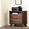 South Shore Crea Metal Mesh 2 Door Accent Cabinet Black: Scandinavian Style, Adjustable Shelves - 4 of 4