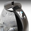 NEW Capresso 259.04 H2O Plus Water Kettle, Matte Silver, 48-Ounce