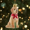Kurt Adler Noble Gems Glass Ornament for Christmas Tree, Goldendoodle - 3 of 3