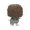 Funko Pop! The Lord Of The Rings Frodo Baggins #444 Glow Chase Variant - 4 of 4