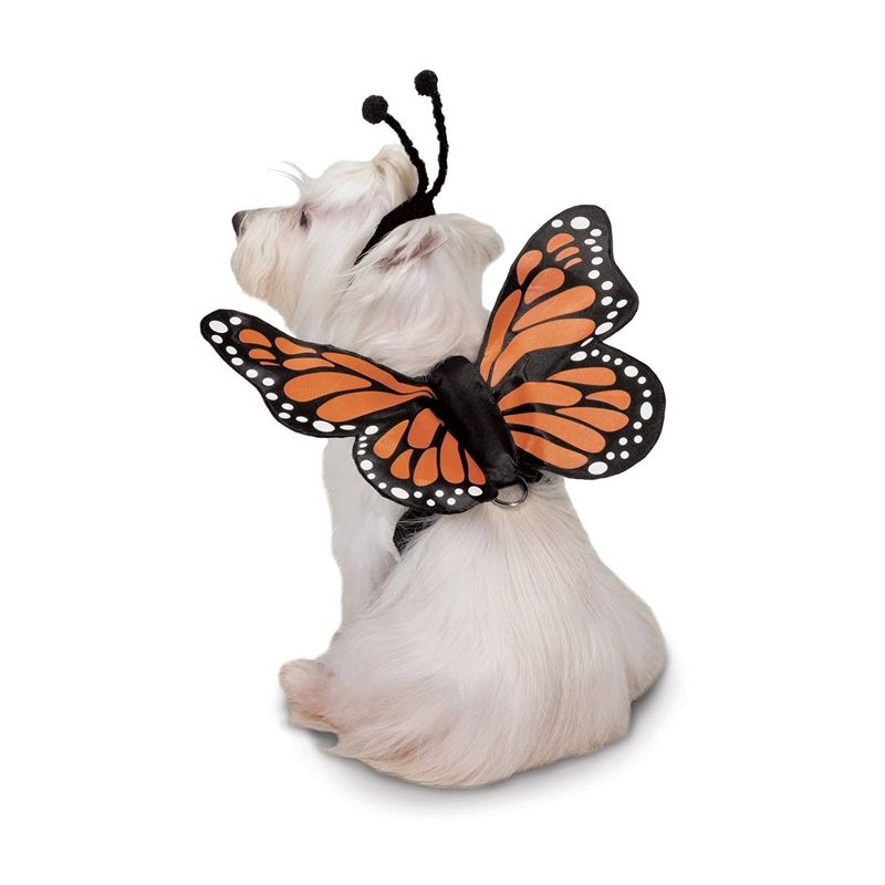 Zack & Zoey Butterfly Glow Harness Costume for Dogs, 2 of 6