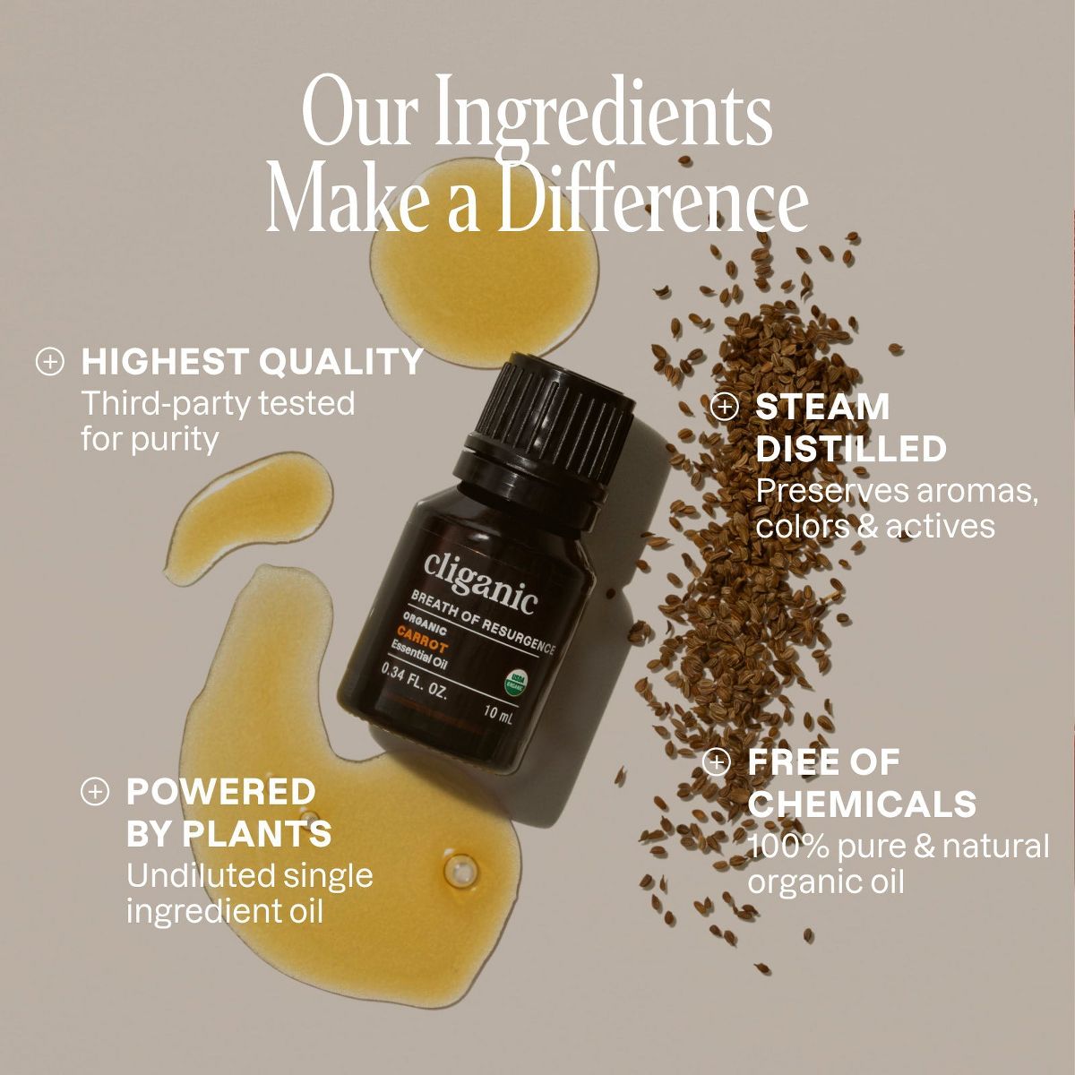 Organic Carrot Seed Essential Oil - thumbnail 3