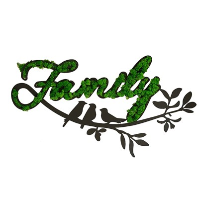 VisioGear FAMILY Letter Art Moss Wall Decor for Hallway Office Wall Decor, Green, 39.5"*21.7"*1.58"