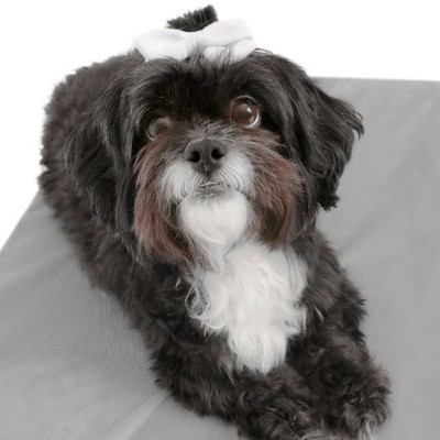 Ash Grey Medium Orthopedic Elevated Chew Resistant Pet Mattress