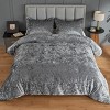 Juliette Luxe Comforter Set Velvet Lush with Soft Brushed Microfiber Reverse, Fluffy Comforter Bed Set, Matching Sham - 3 of 4