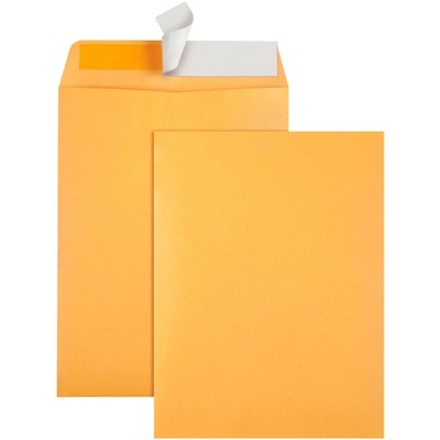 Quality Park Redi-Kraft Envelopes, 28 lb, 9 x 12 inches, Kraft Brown, Box of 100